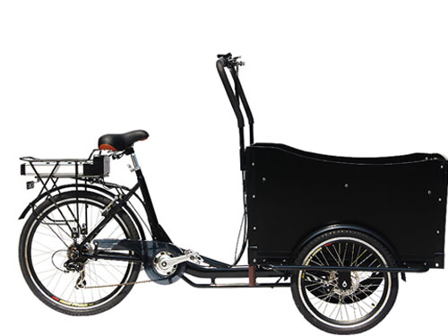 Triciclo eléctrico 500W para movilidad reducida